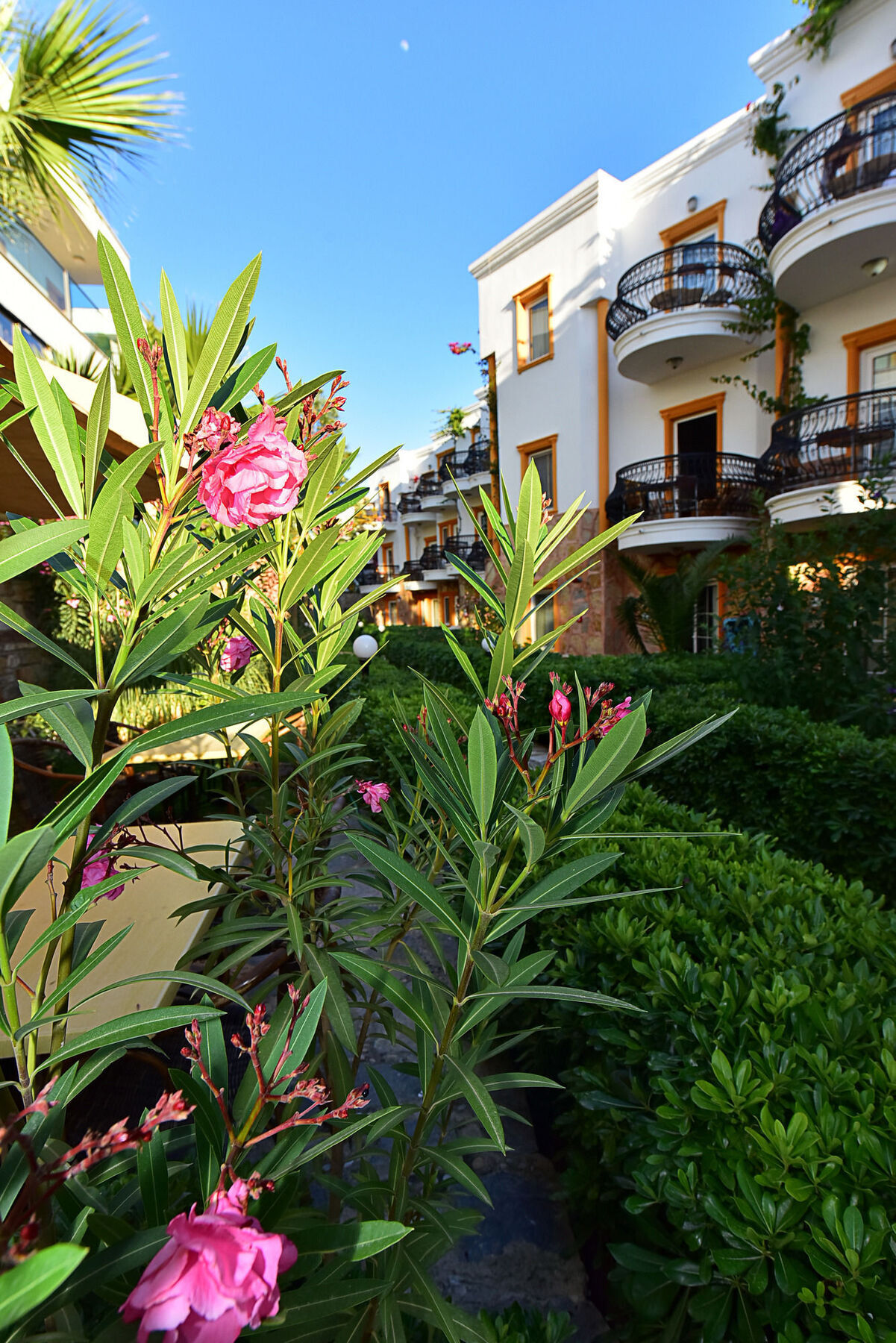 Hotel Tropicana Beach Gumbet Zewnętrze zdjęcie